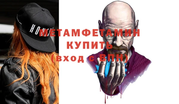 мет Алексин