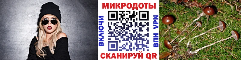 Галлюциногенные грибы Cubensis  как найти закладки  Уяр 